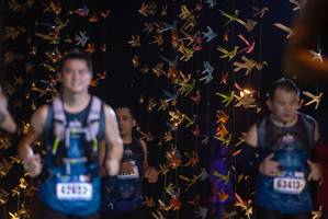 BIB: 63413
                            <button type="button" onclick="openModal(18287771)" class="btn btn-primary btn-sm float-right btn-popup" data-toggle="modal" data-target=".modal-high-quality">
                        <i class="fas fa-shopping-cart"></i> Add to Cart
                    </button>
                                            <button type="button" onclick="isThisMe(18287771, true)" class="btn btn-success btn-sm float-right btn-popup btn-isme hidden" data-toggle="tooltip" data-placement="bottom" title="นี่คือรูปของคุณใช่ไหม คลิกที่นี่เพื่อเอาเข้าอัลบั้ม">
                        <i class="fas fa-plus"></i> Add to album
                    </button>
                    <button type="button" onclick="isThisMe(18287771, false)" class="btn btn-warning btn-sm float-right btn-popup btn-isnotme hidden">
                        <i class="fas fa-ban"></i> Remove from album
                    </button>